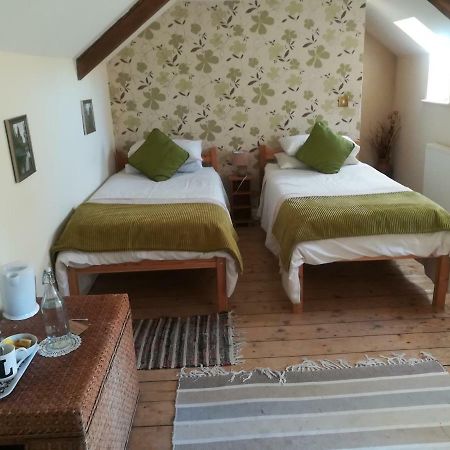 Y Garreg Wen Bed and Breakfast Llanybyther Exterior foto