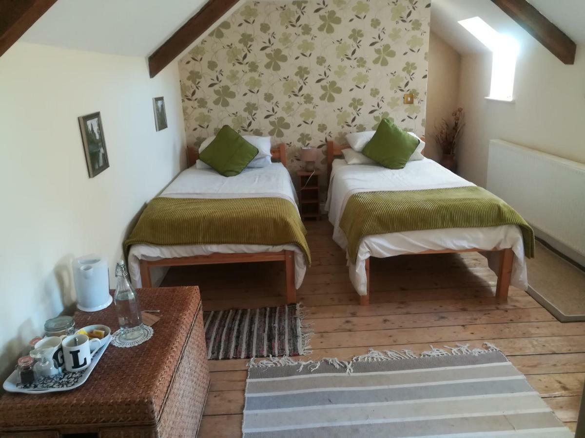 Y Garreg Wen Bed and Breakfast Llanybyther Exterior foto
